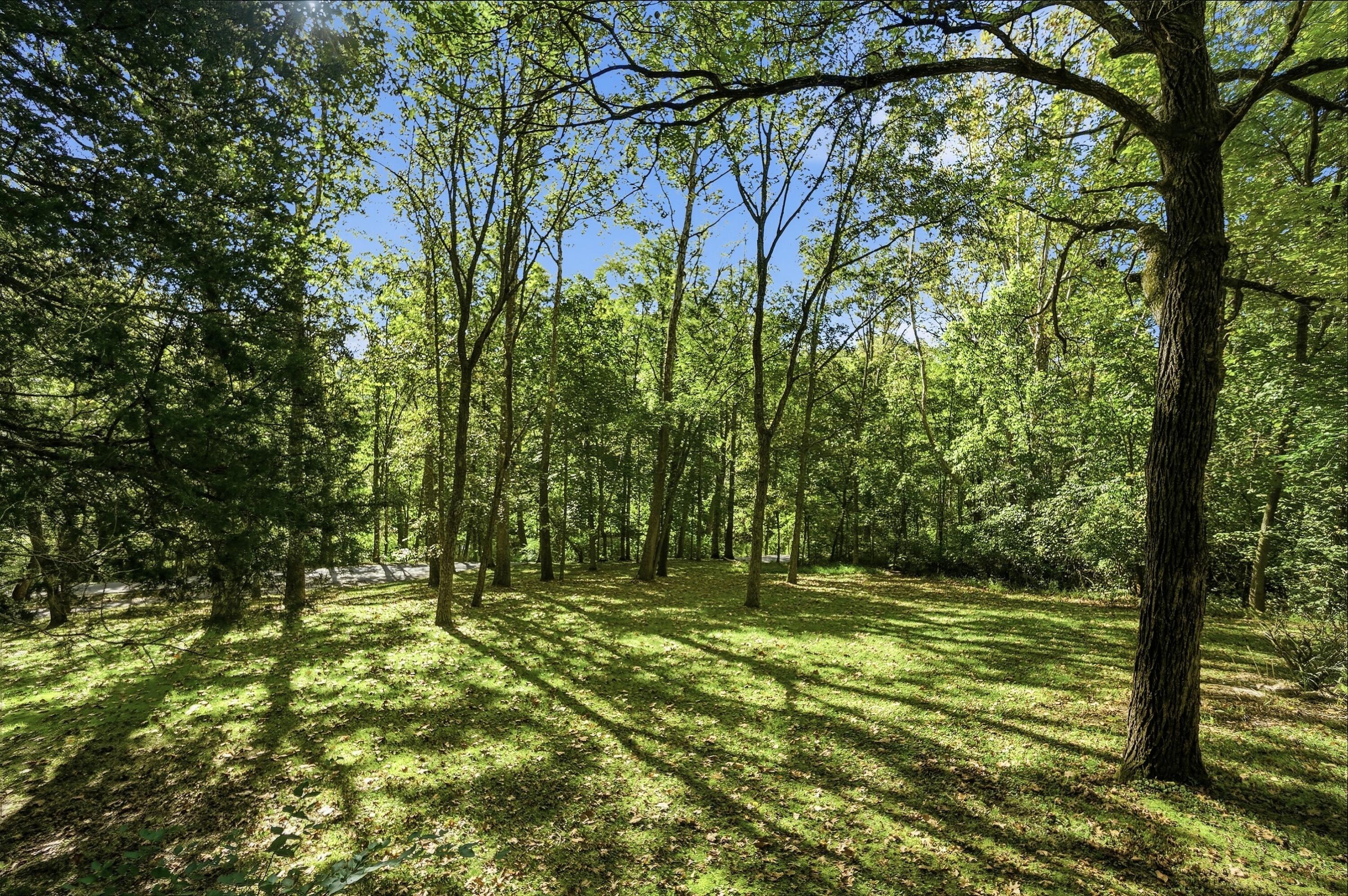 4242 Dale Williamson Road