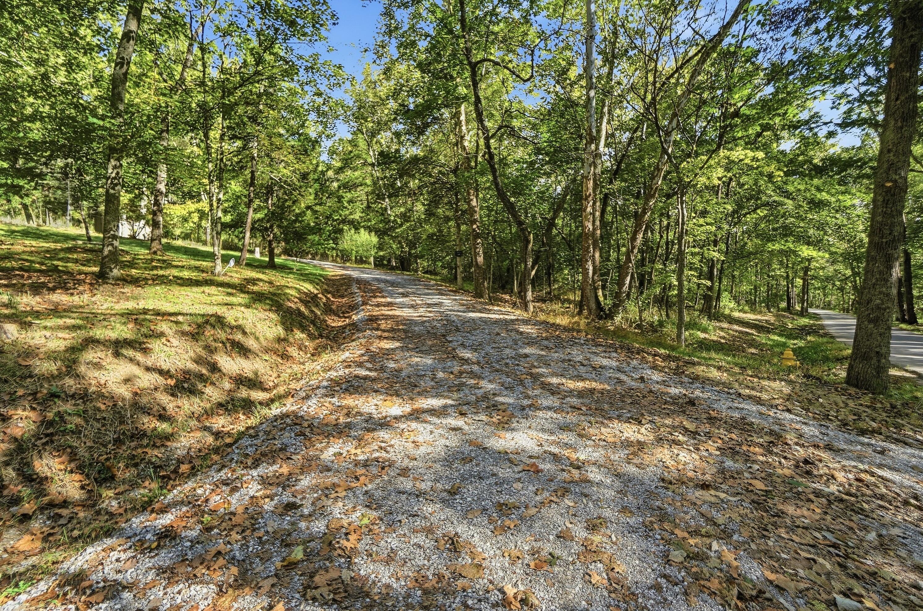 4242 Dale Williamson Road