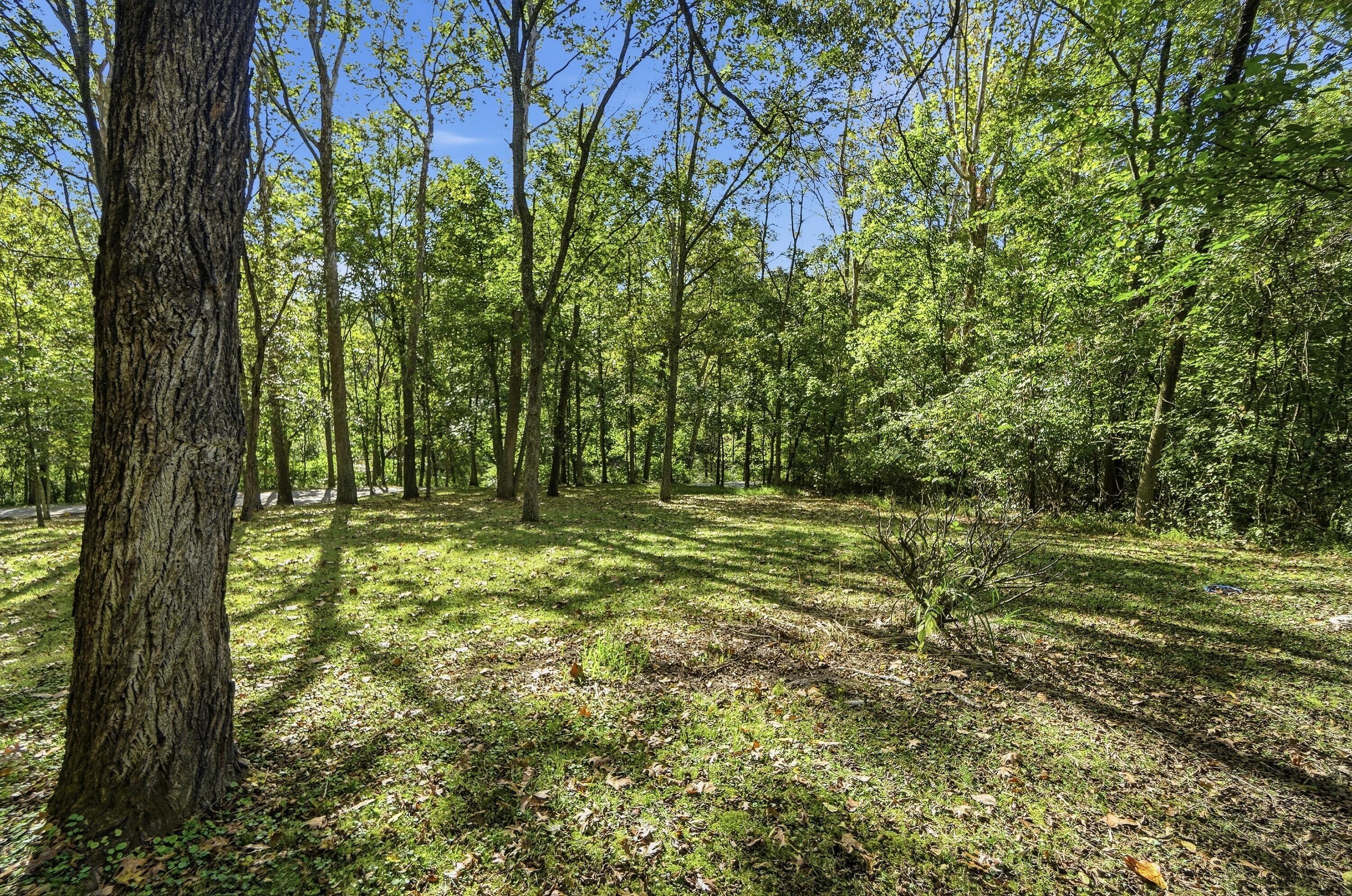 4242 Dale Williamson Road