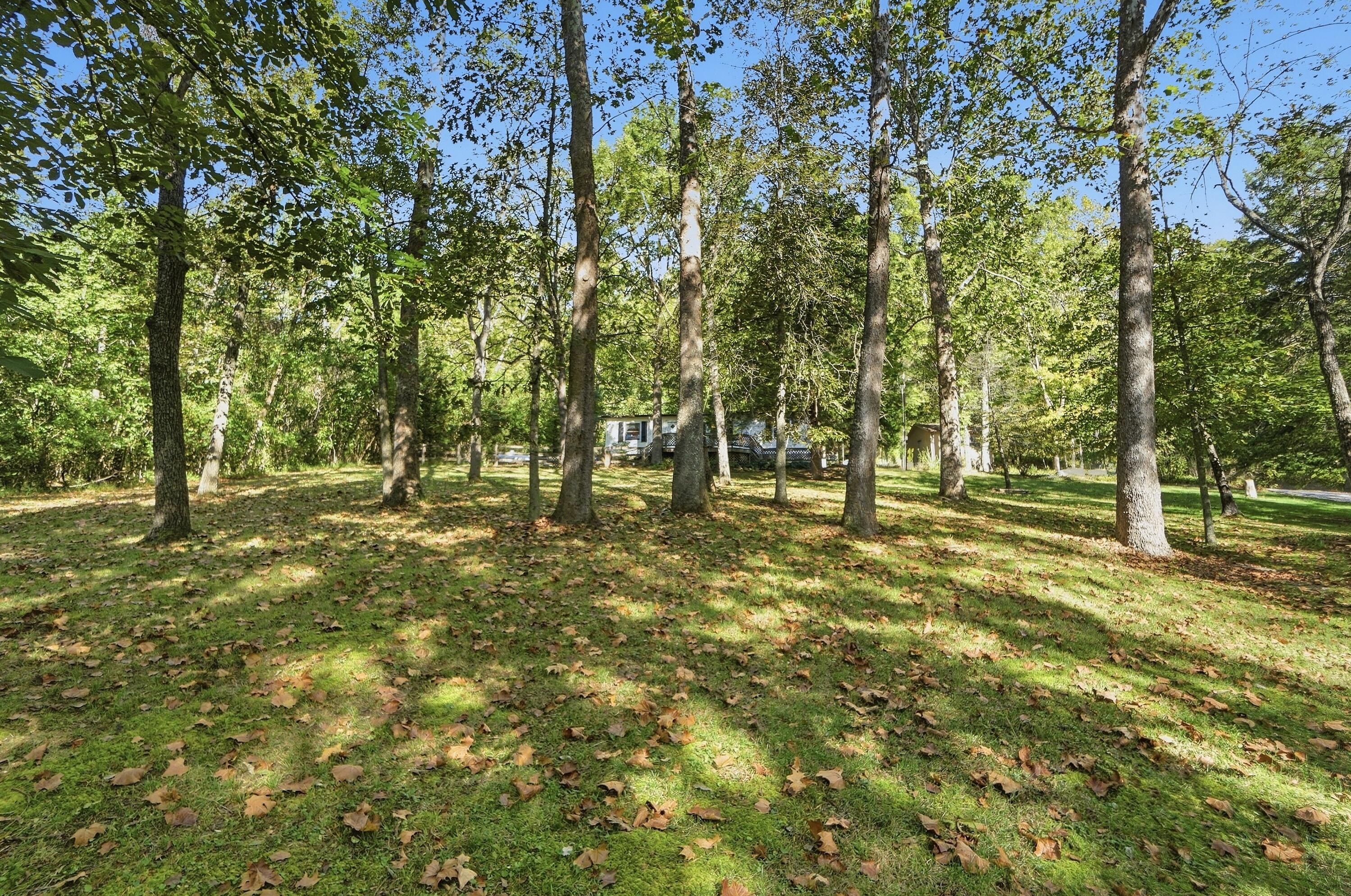 4242 Dale Williamson Road