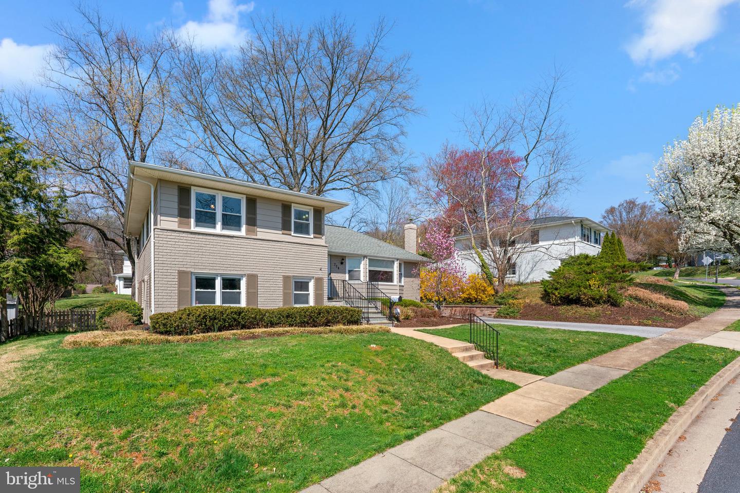 704 Shelley Rd
