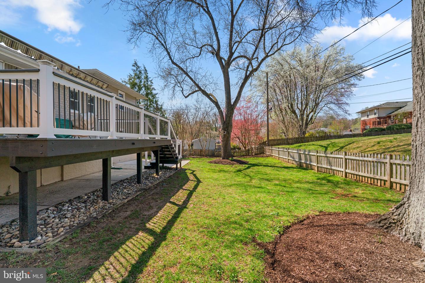 704 Shelley Rd