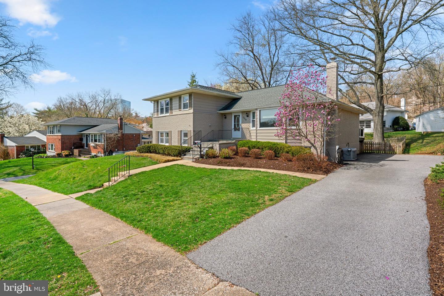 704 Shelley Rd