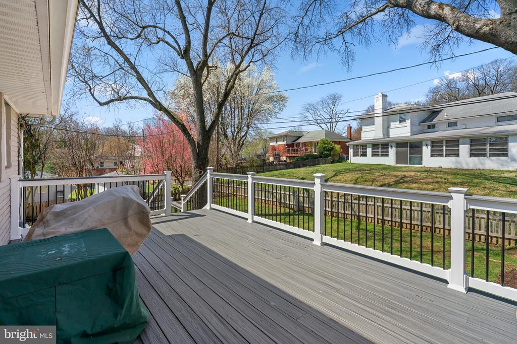 704 Shelley Rd
