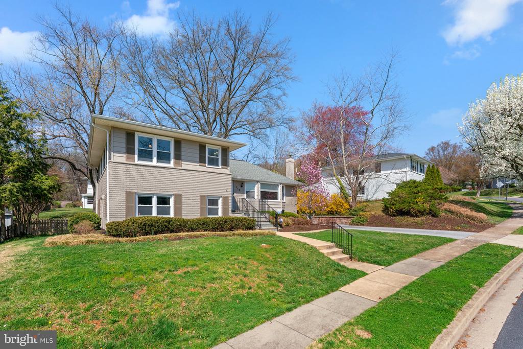 704 Shelley Rd