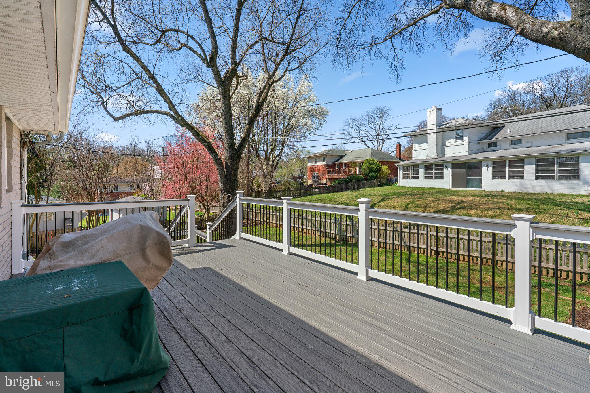 704 Shelley Rd
