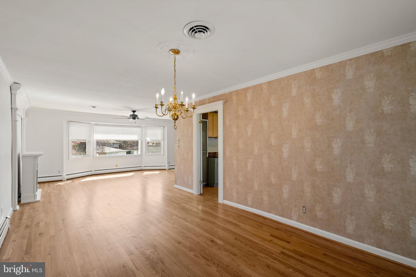 704 Shelley Rd
