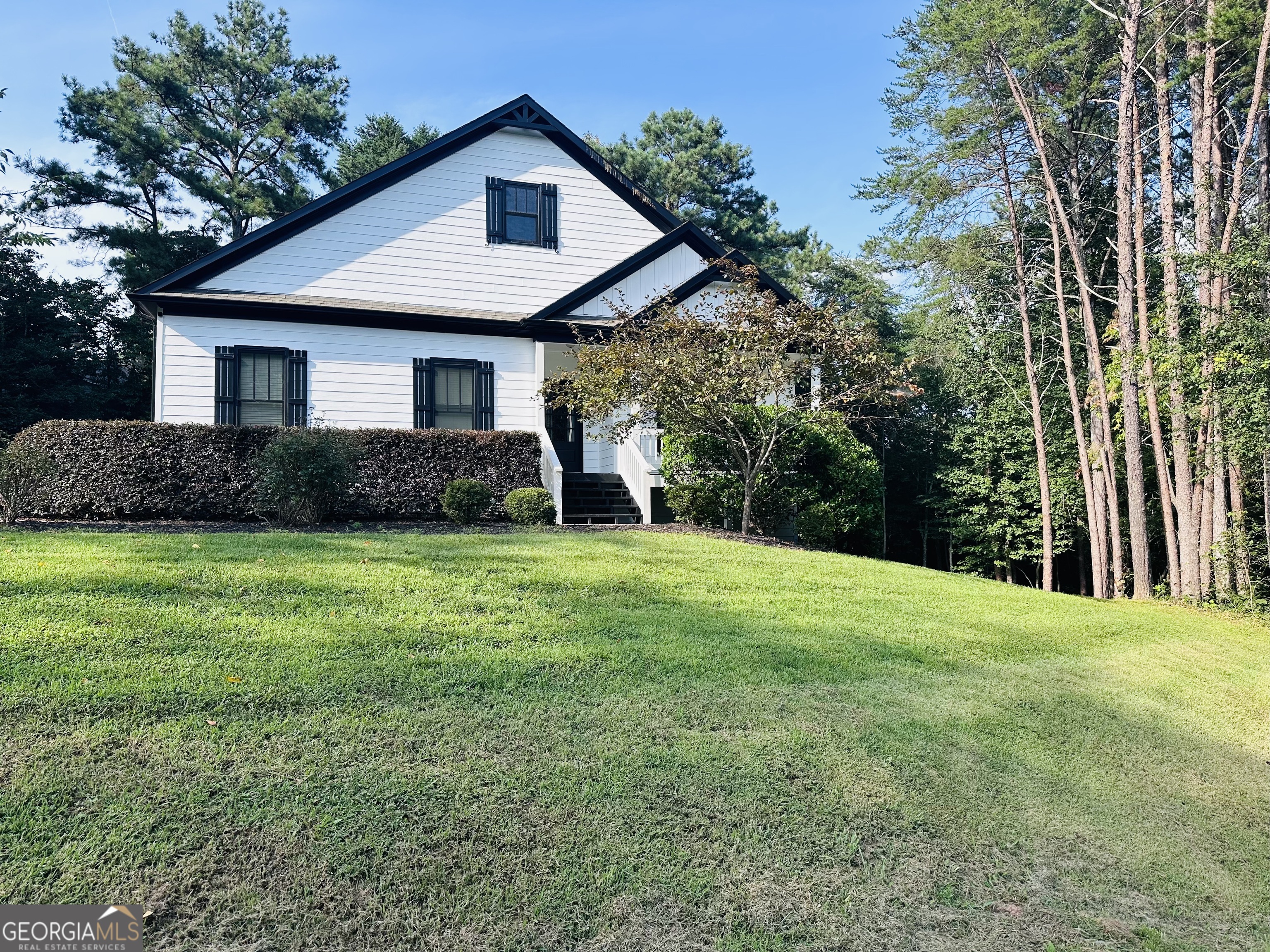 41 Brumby Trail