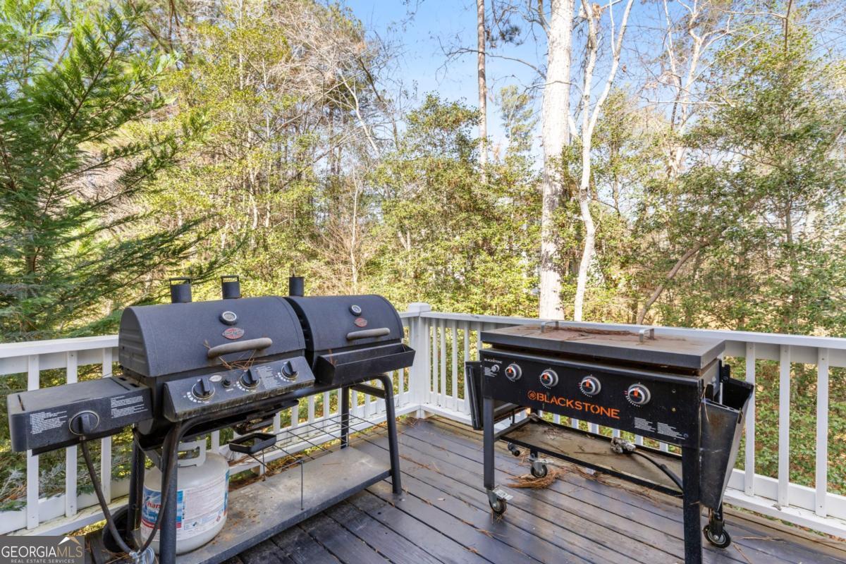 41 Brumby Trail