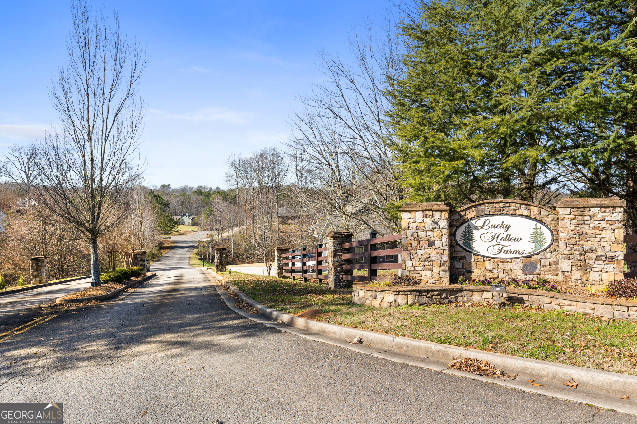 41 Brumby Trail