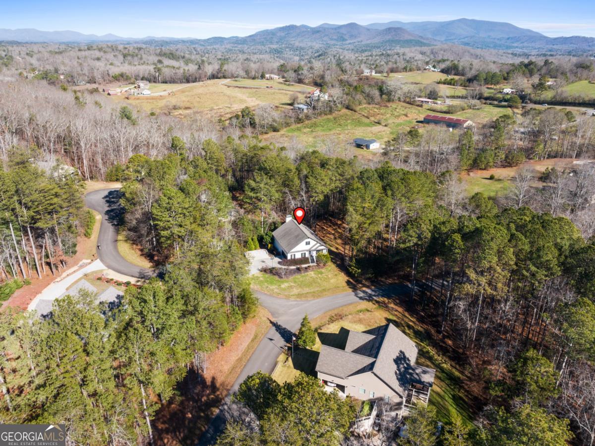 41 Brumby Trail