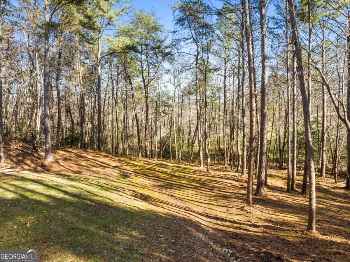 41 Brumby Trail