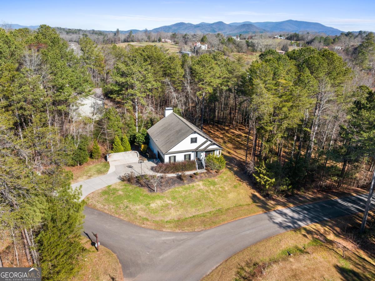 41 Brumby Trail