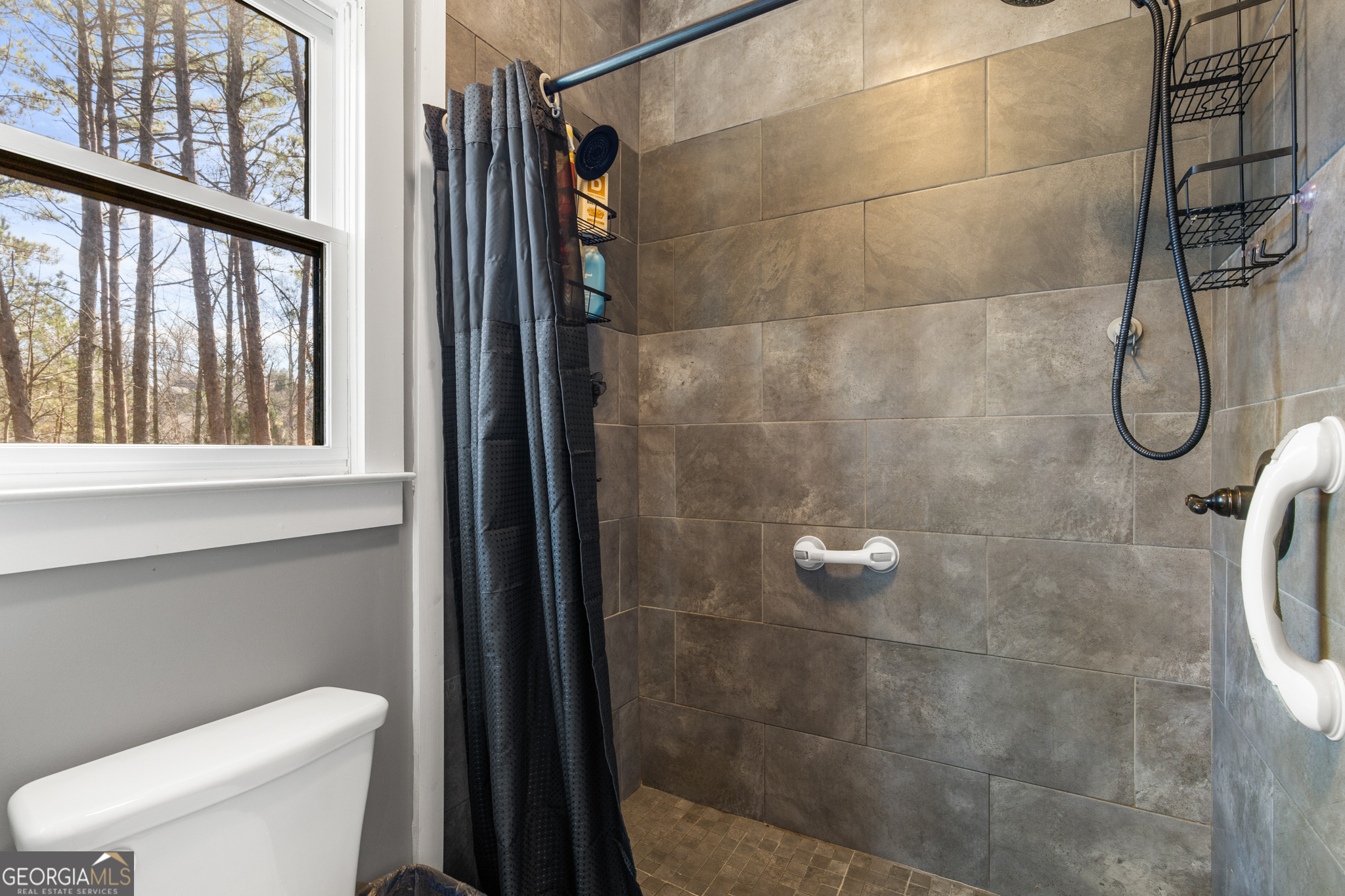 41 Brumby Trail