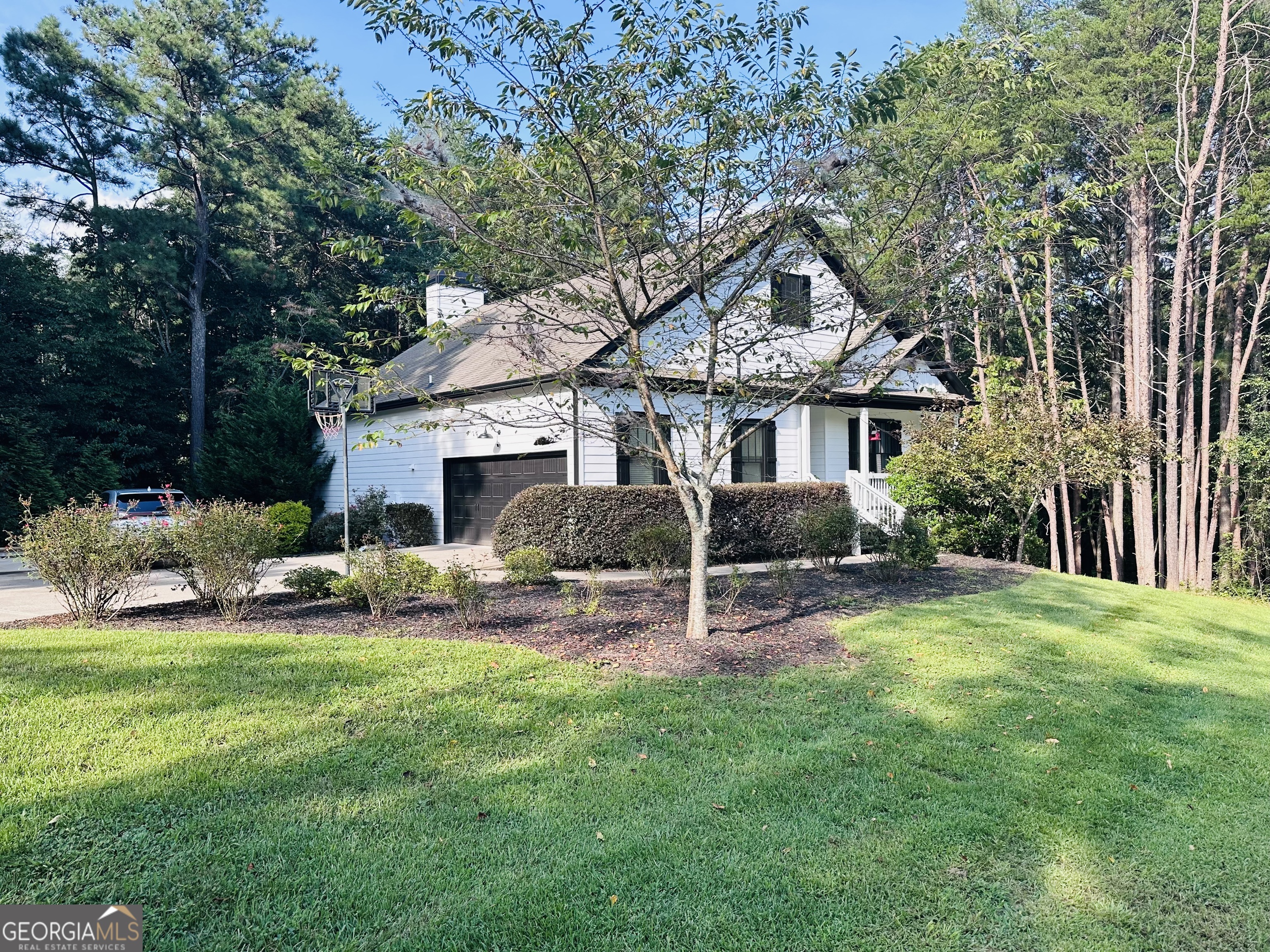 41 Brumby Trail