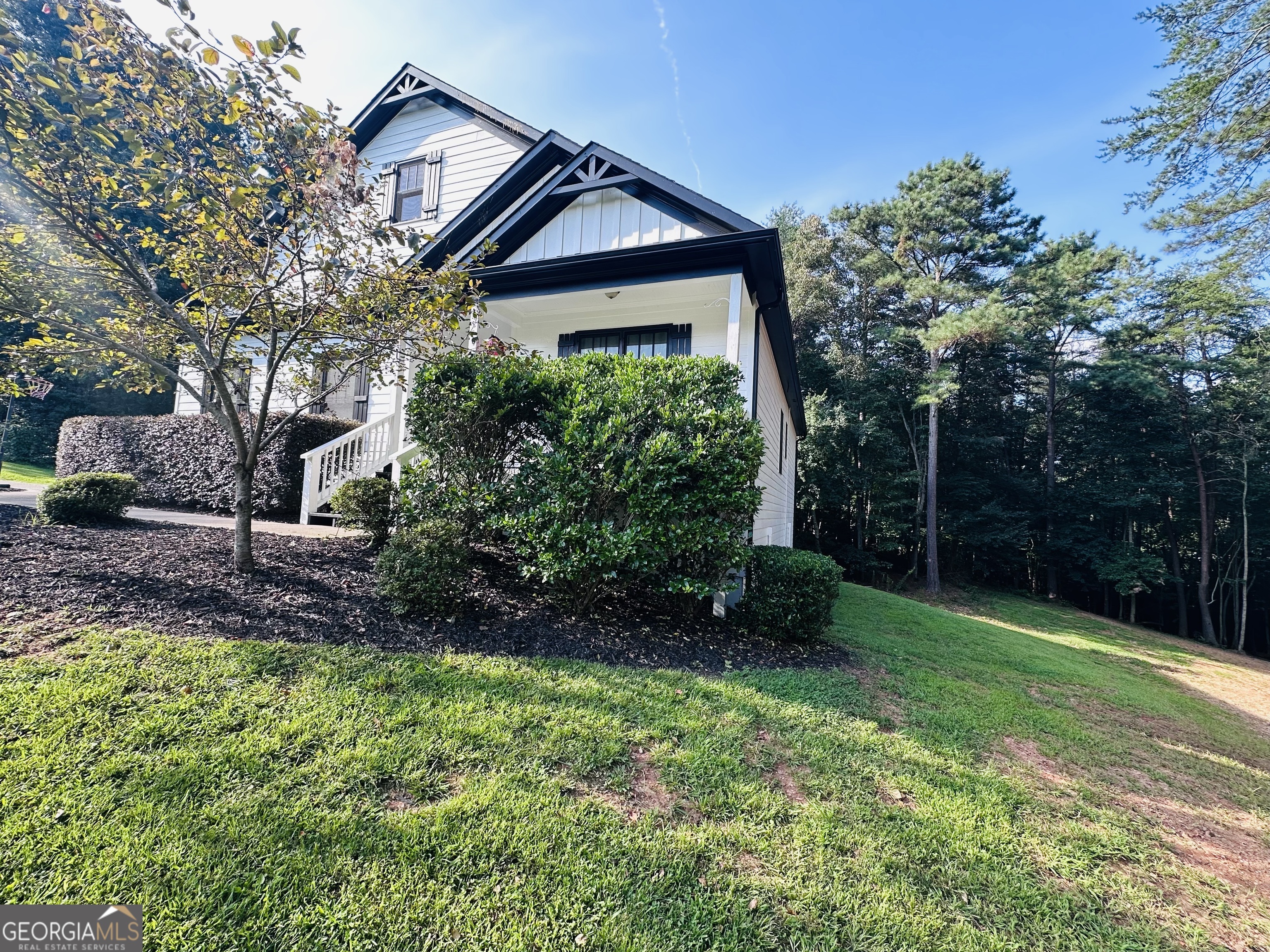 41 Brumby Trail