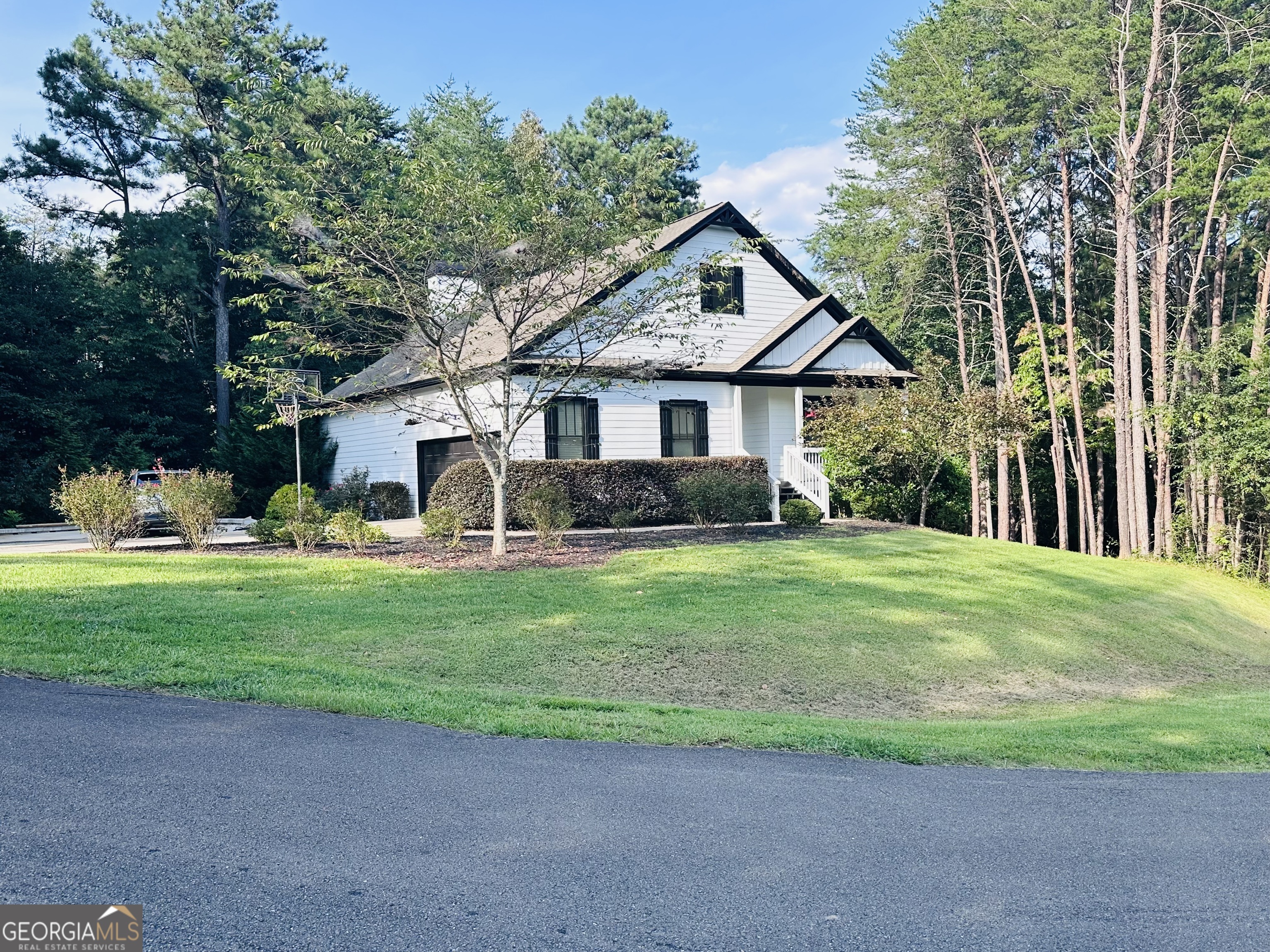 41 Brumby Trail