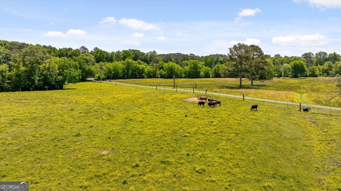 446 Brown Bridge Road