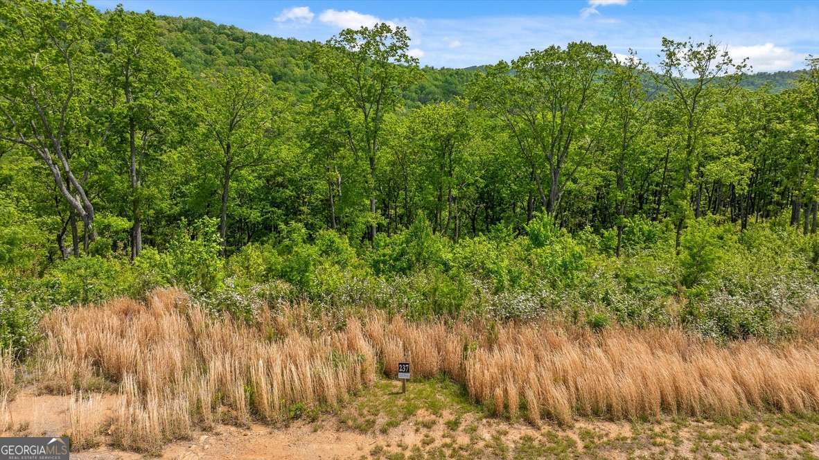 LOT 237 Highgrove Drive