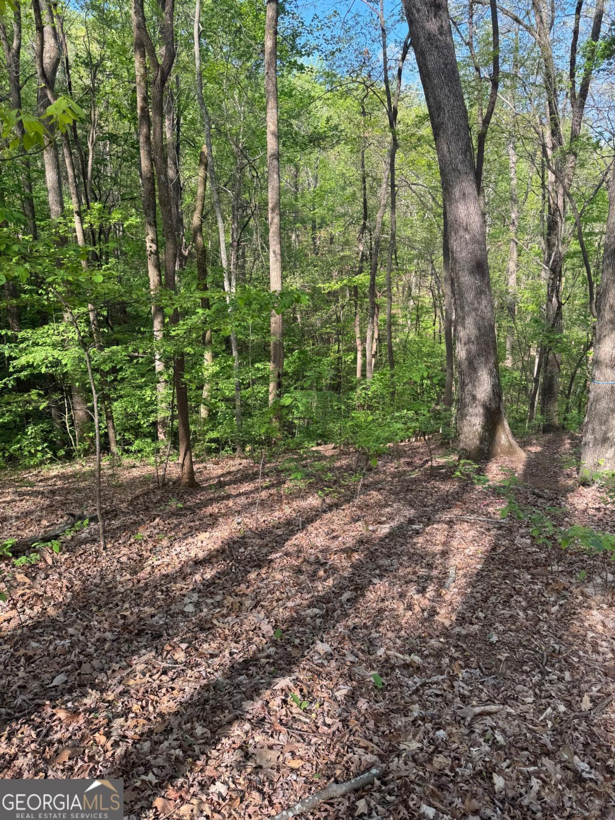 0 Mountain View Court