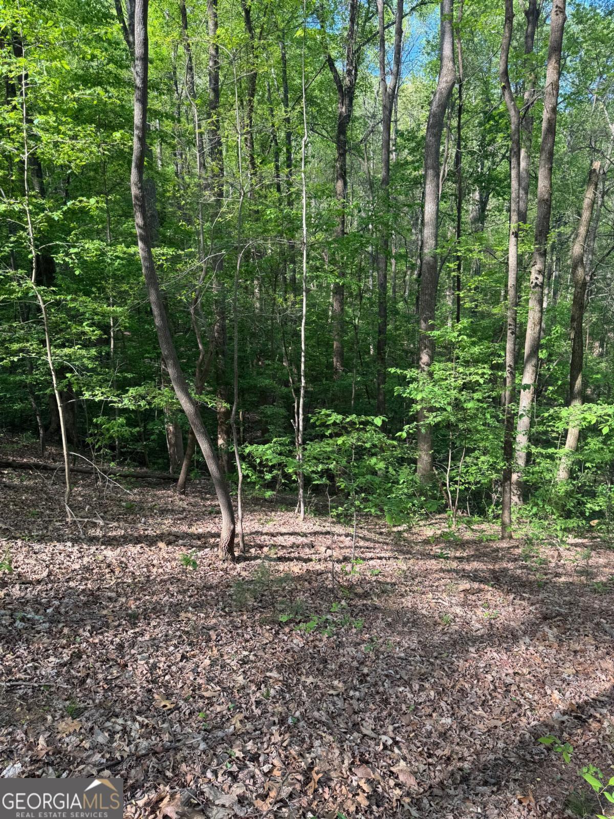 0 Mountain View Court