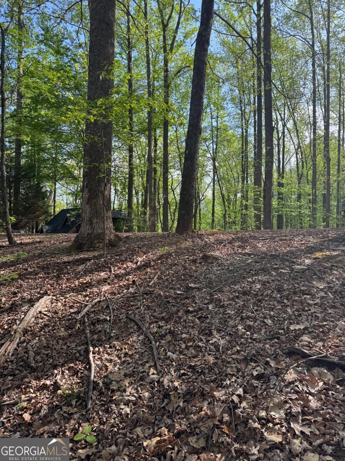 0 Mountain View Court