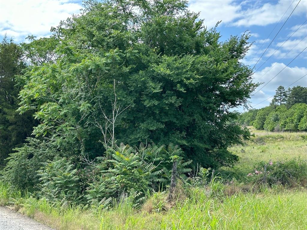 NE Pocahontas Rd. Street