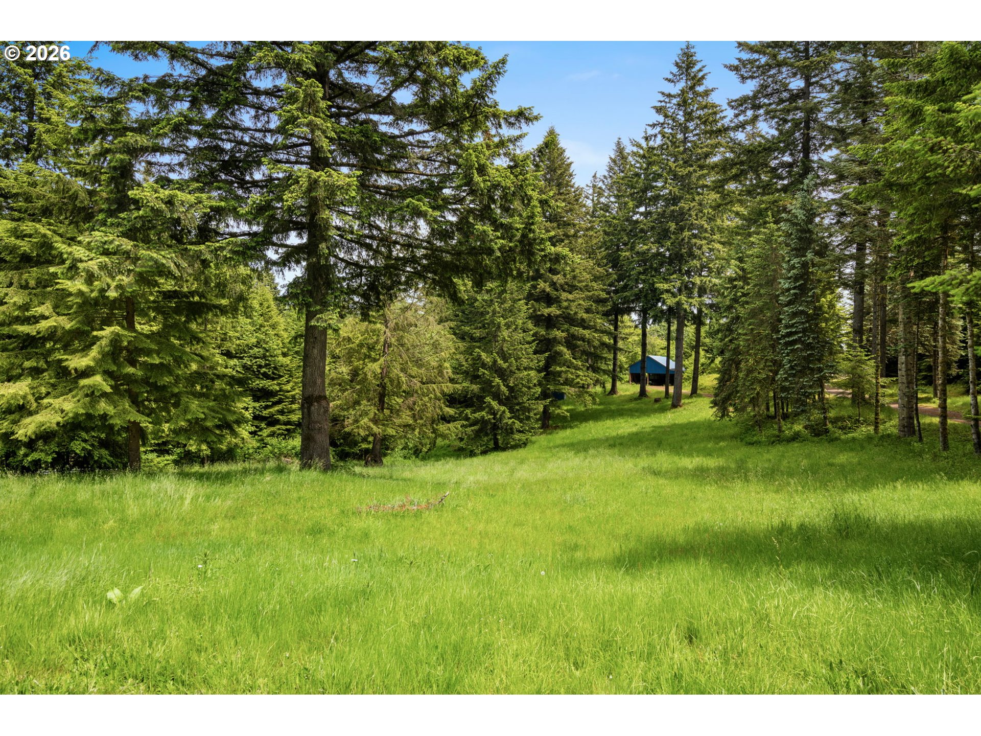 61 BEAR PRAIRIE RD