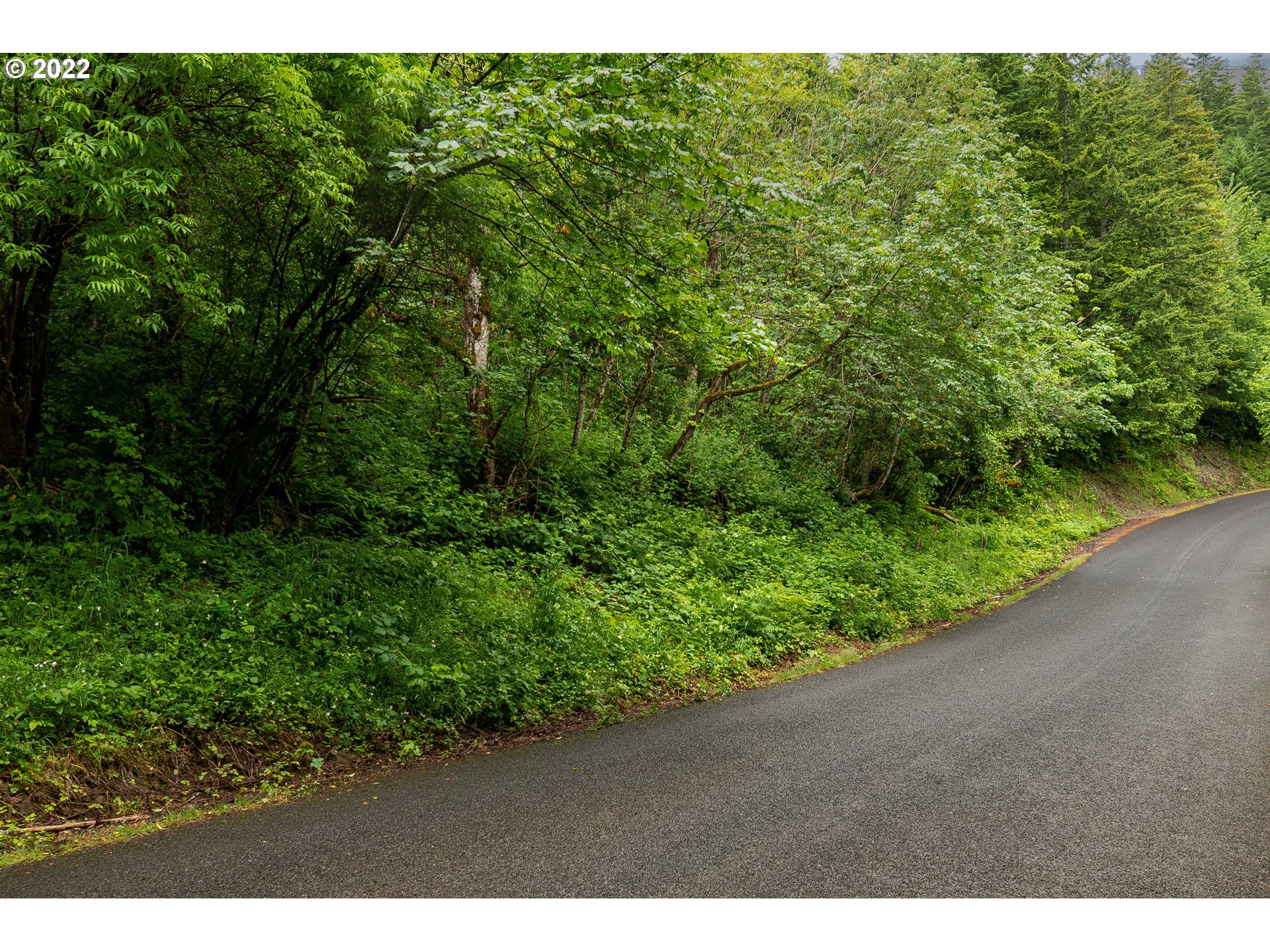ARCHER MOUNTAIN RD