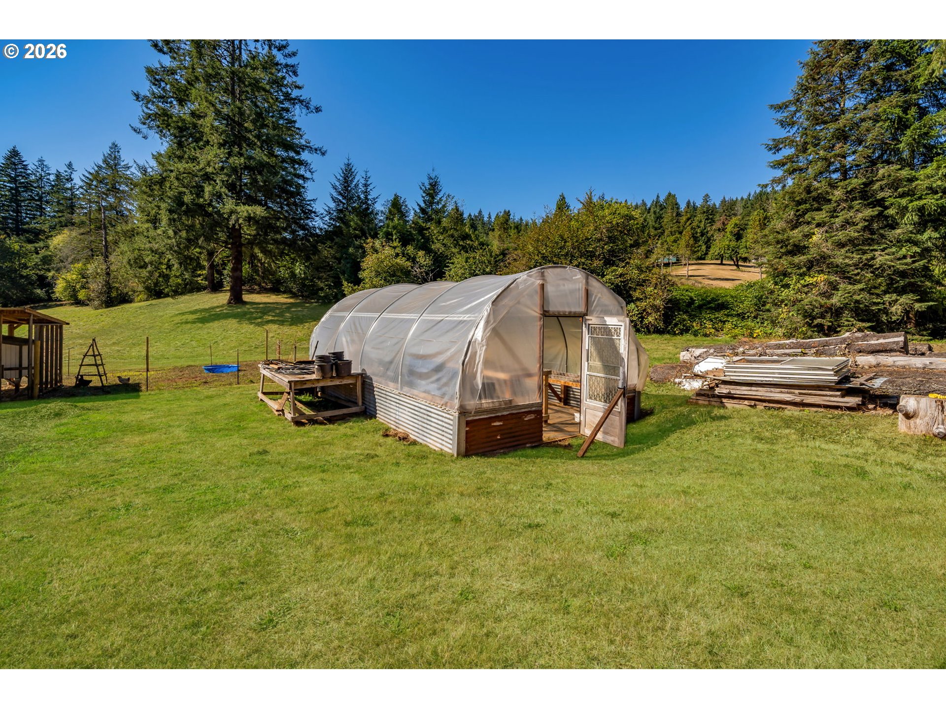 Greenhouse with an open door in a grassy yard bordered by evergreen trees.