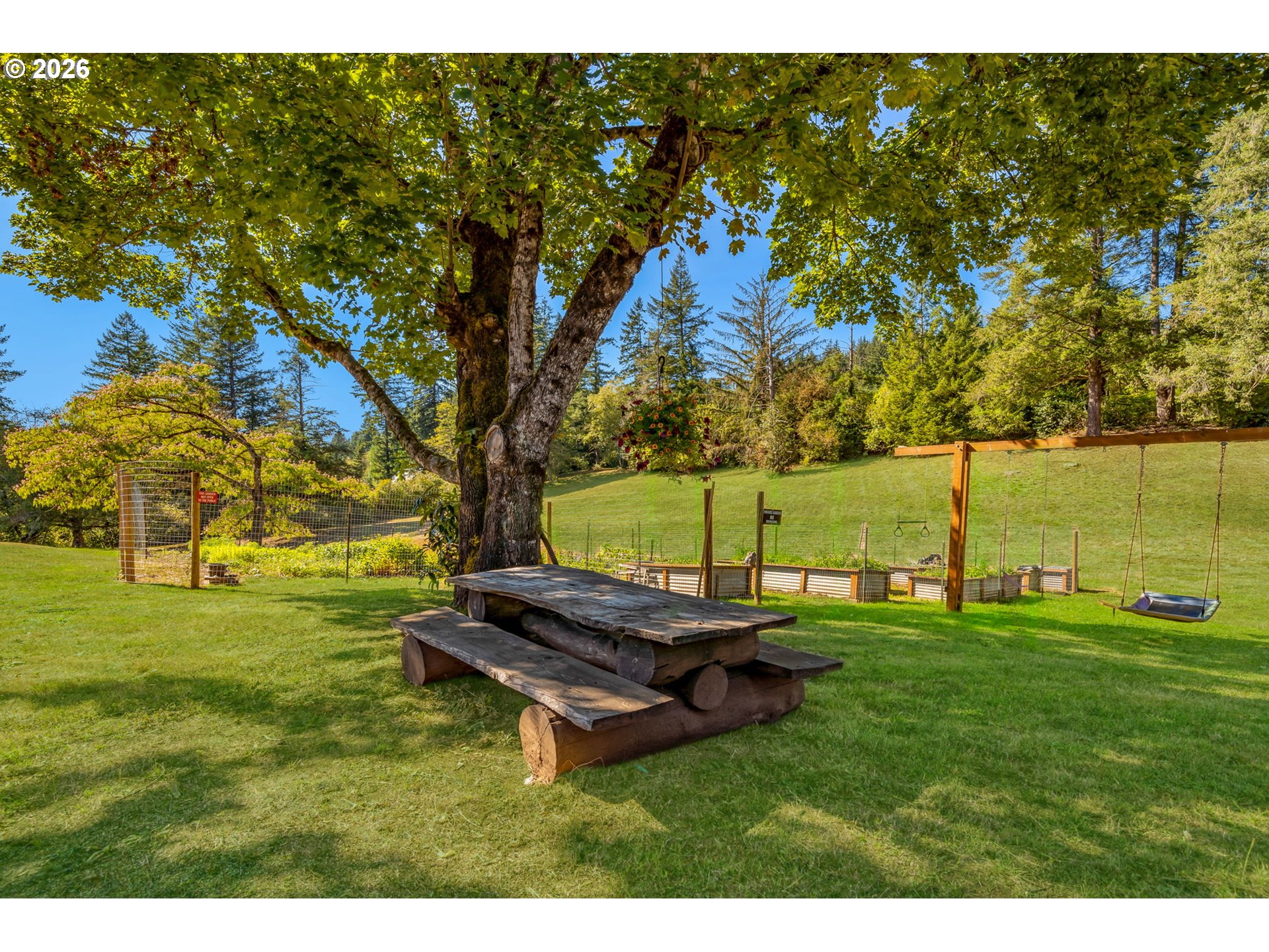 Landscaped backyard with a rustic picnic table beneath a large tree and a hanging swing.