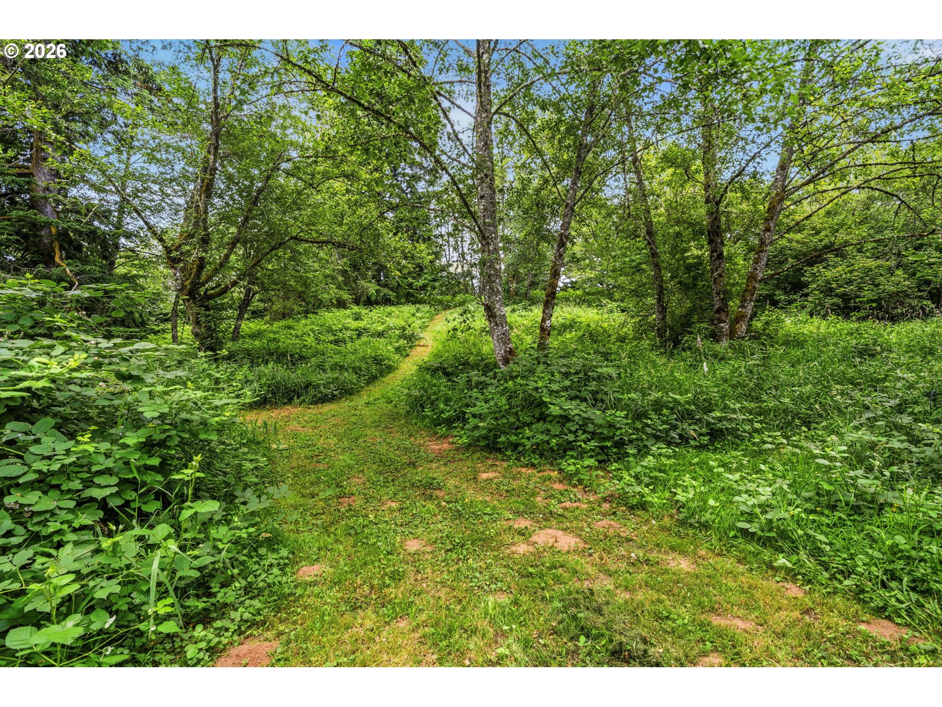 2461 BELLE CENTER RD