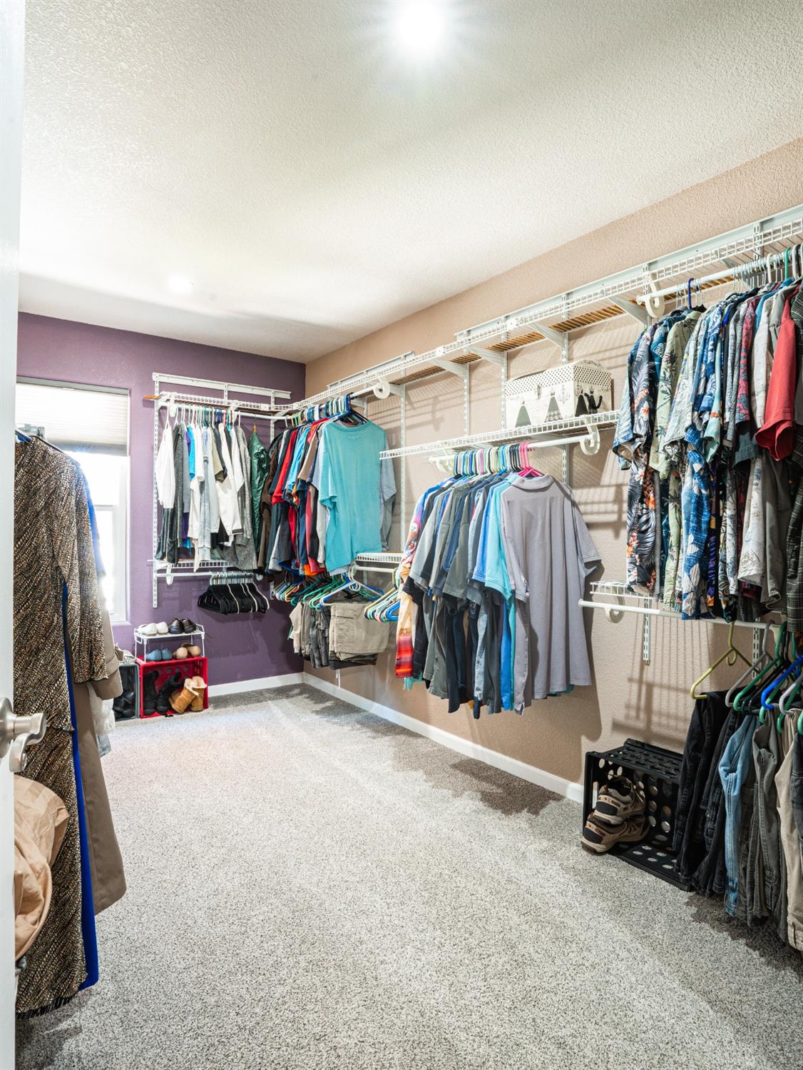 11384 Torrey Pines Drive