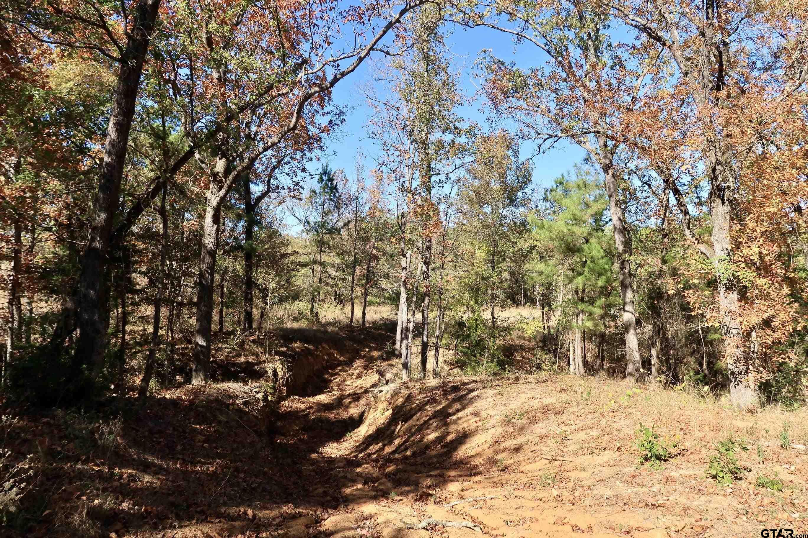 16619 Ridgeline Loop