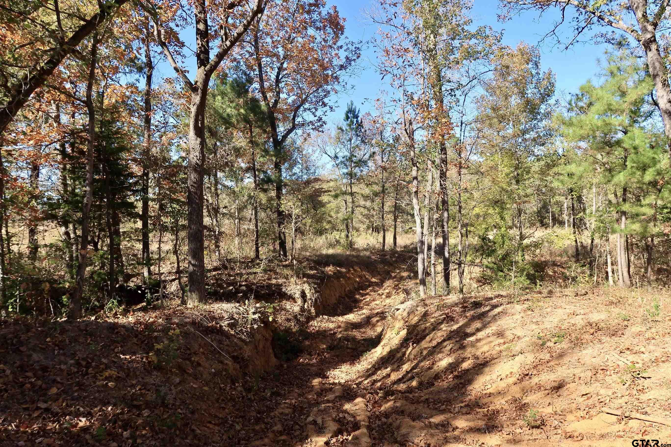 16619 Ridgeline Loop