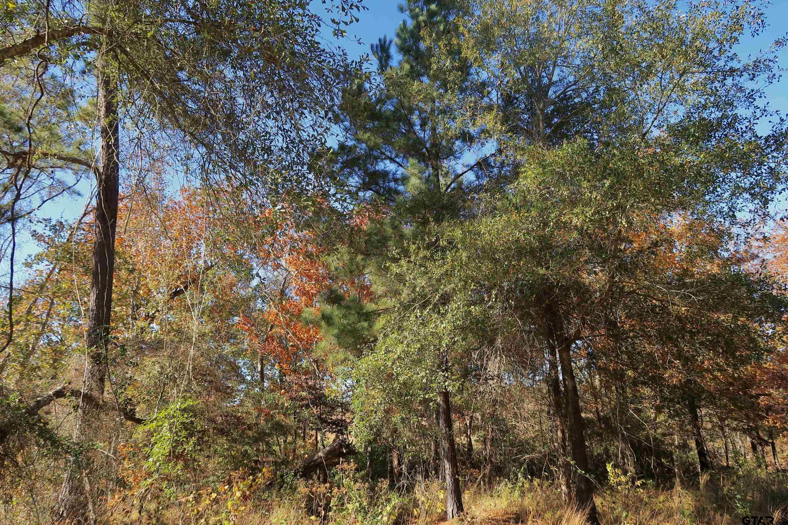 16619 Ridgeline Loop