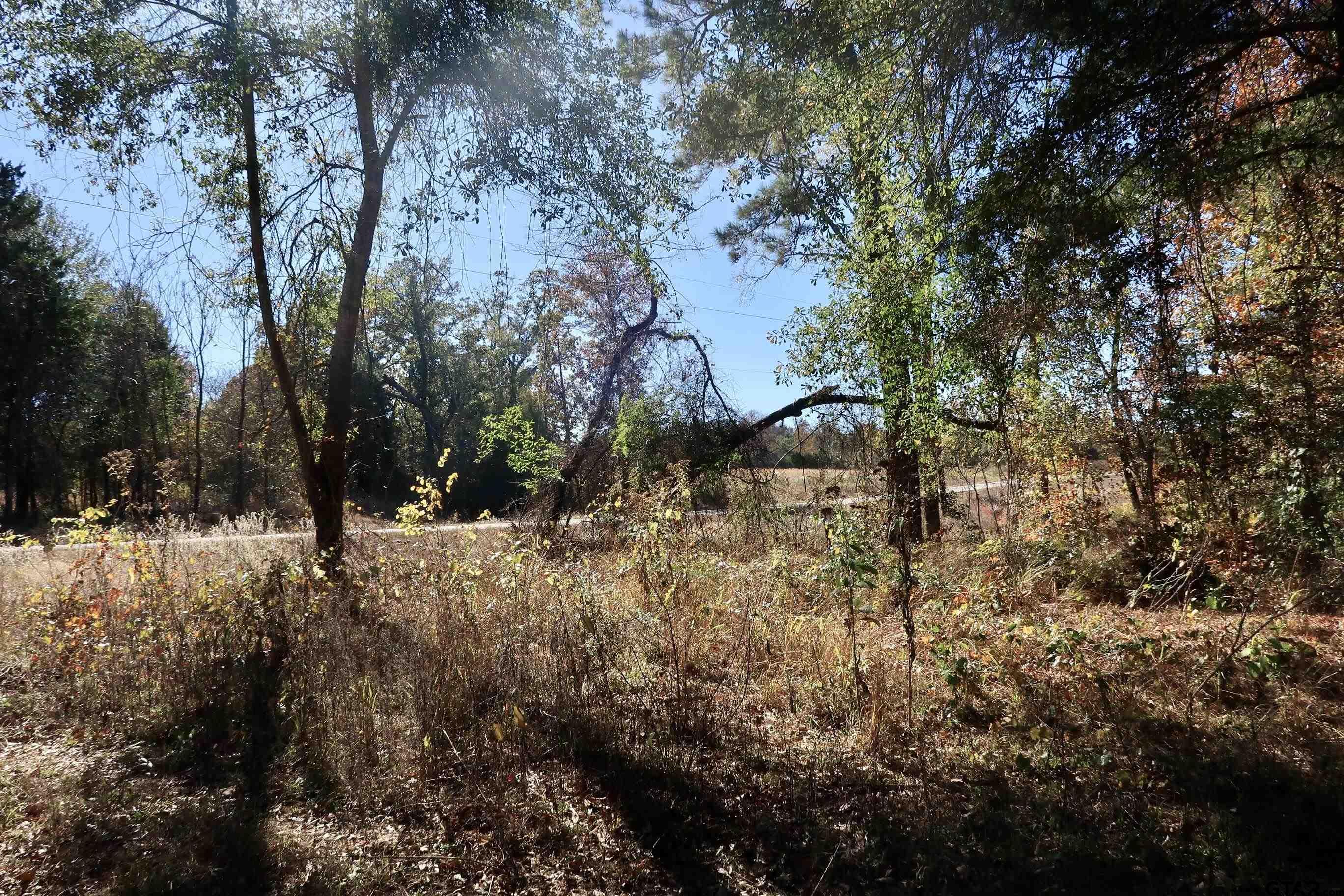 16619 Ridgeline Loop