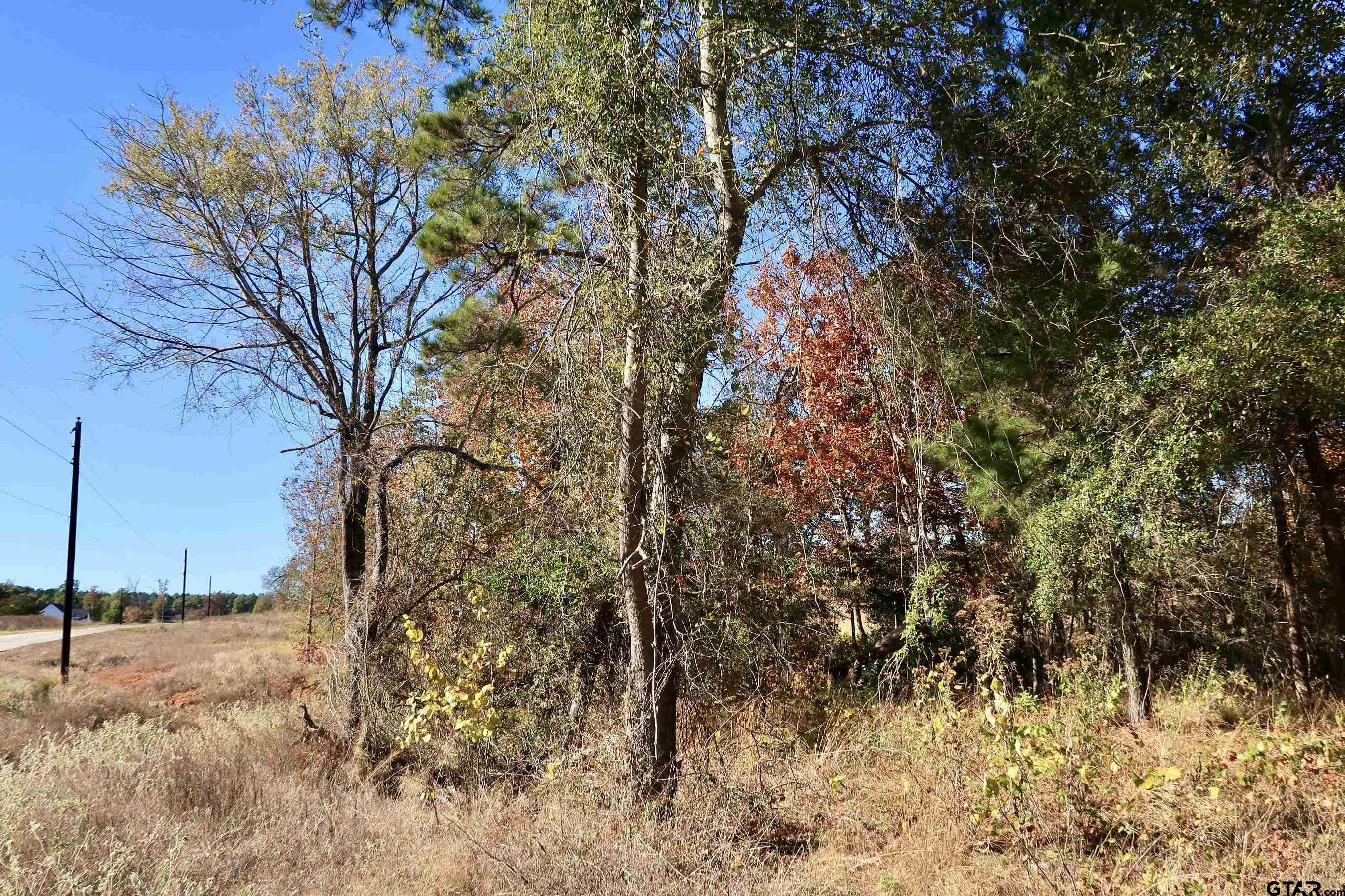 16619 Ridgeline Loop