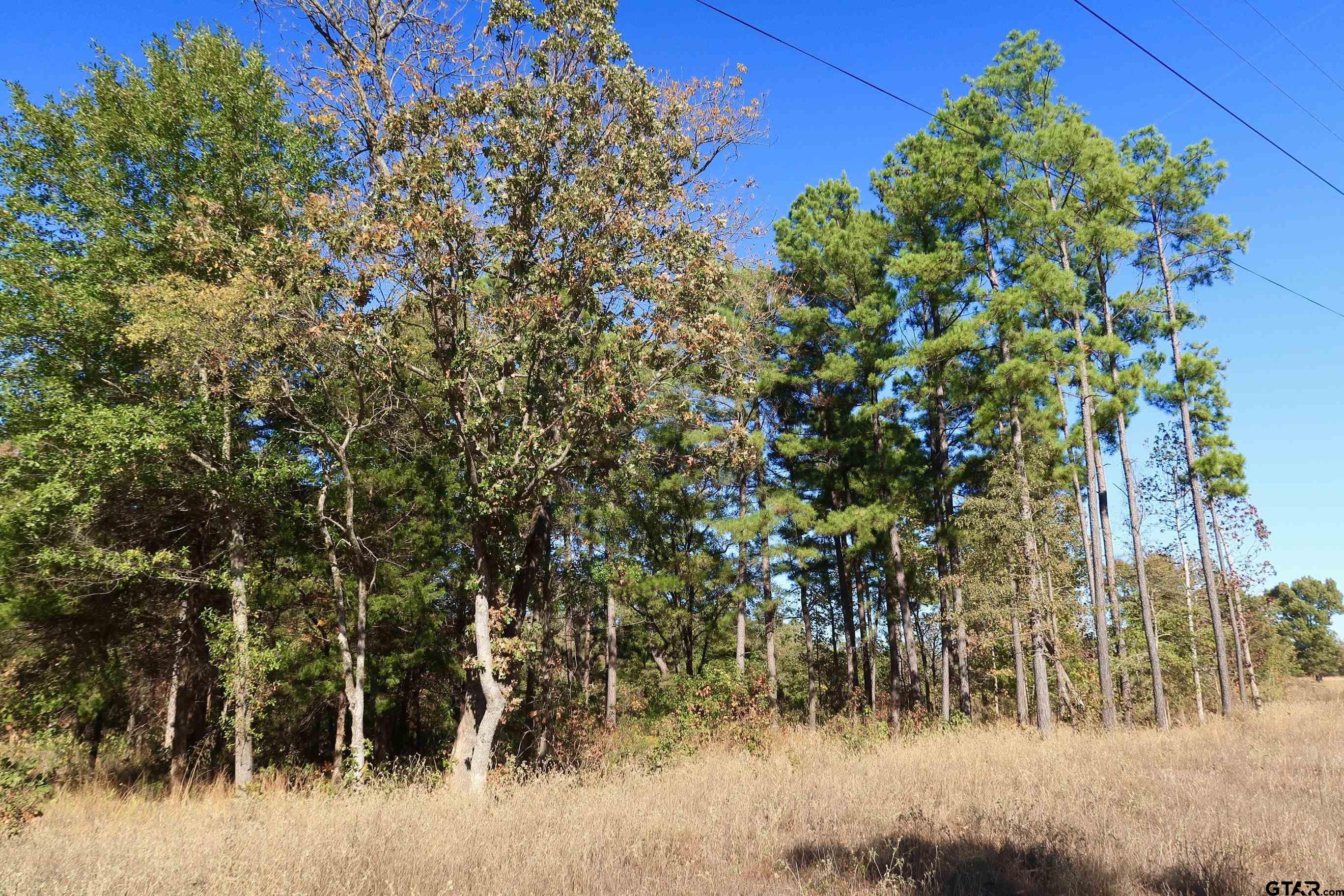 16619 Ridgeline Loop