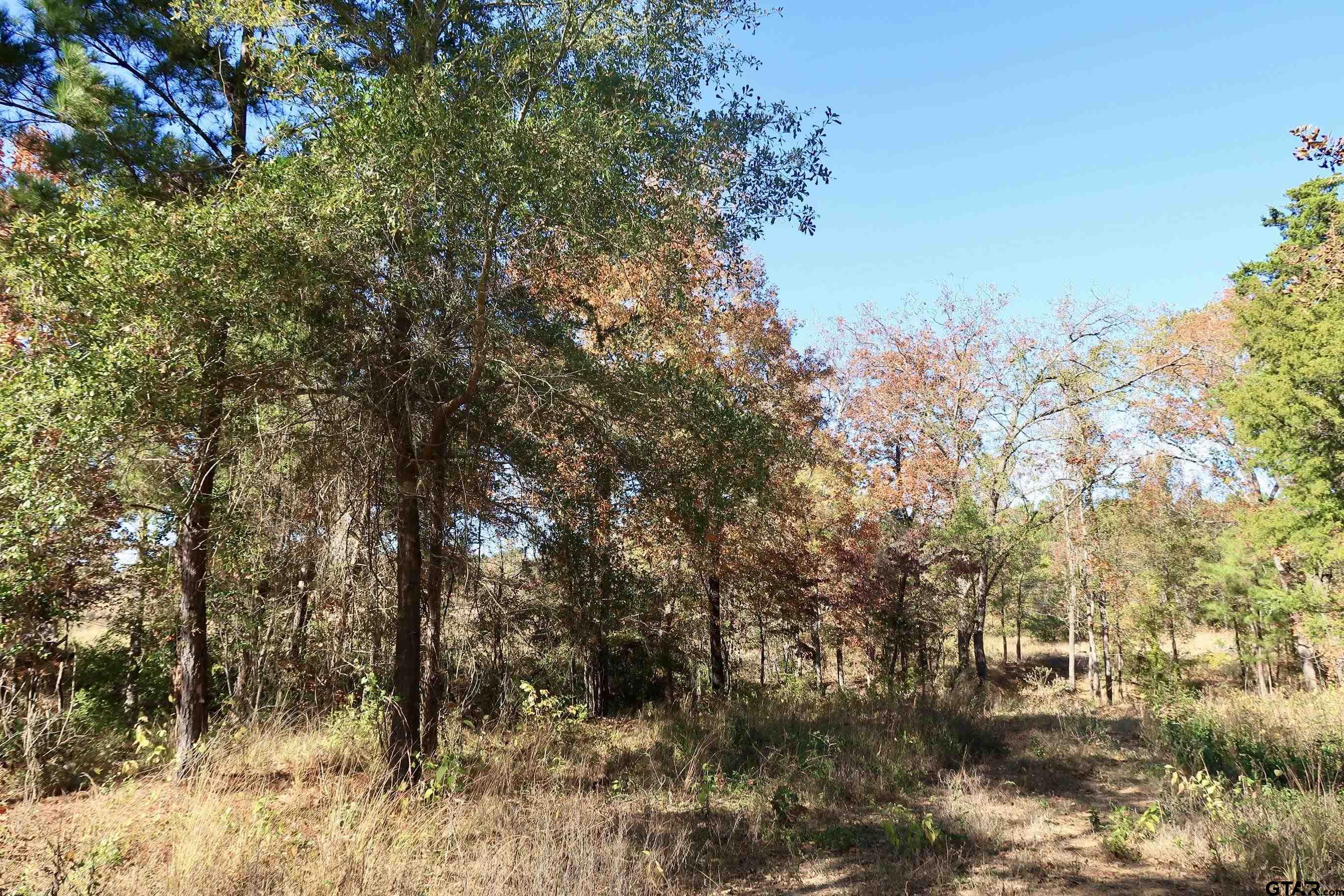 16619 Ridgeline Loop