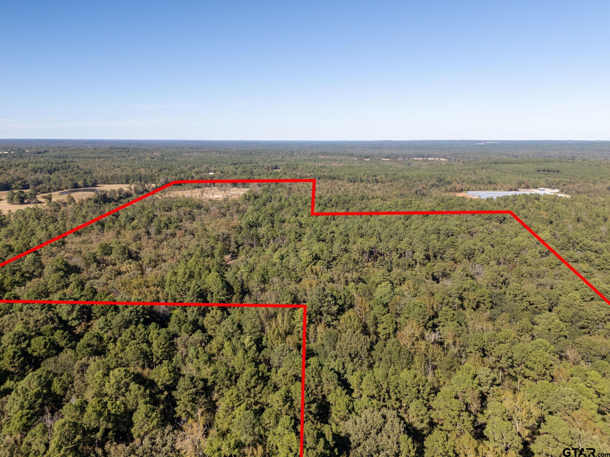 TBD County Road 3953