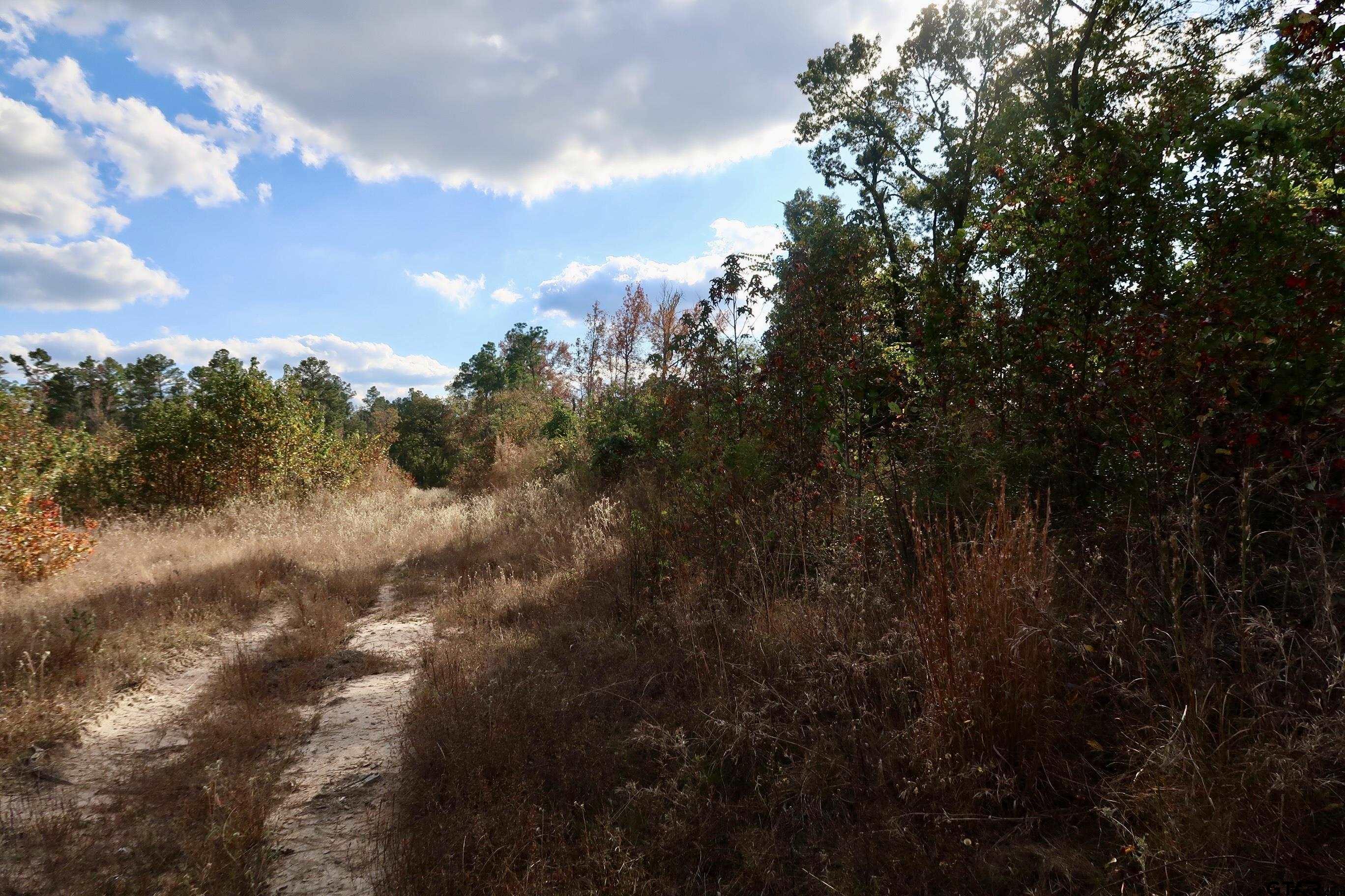 TBD County Road 3953