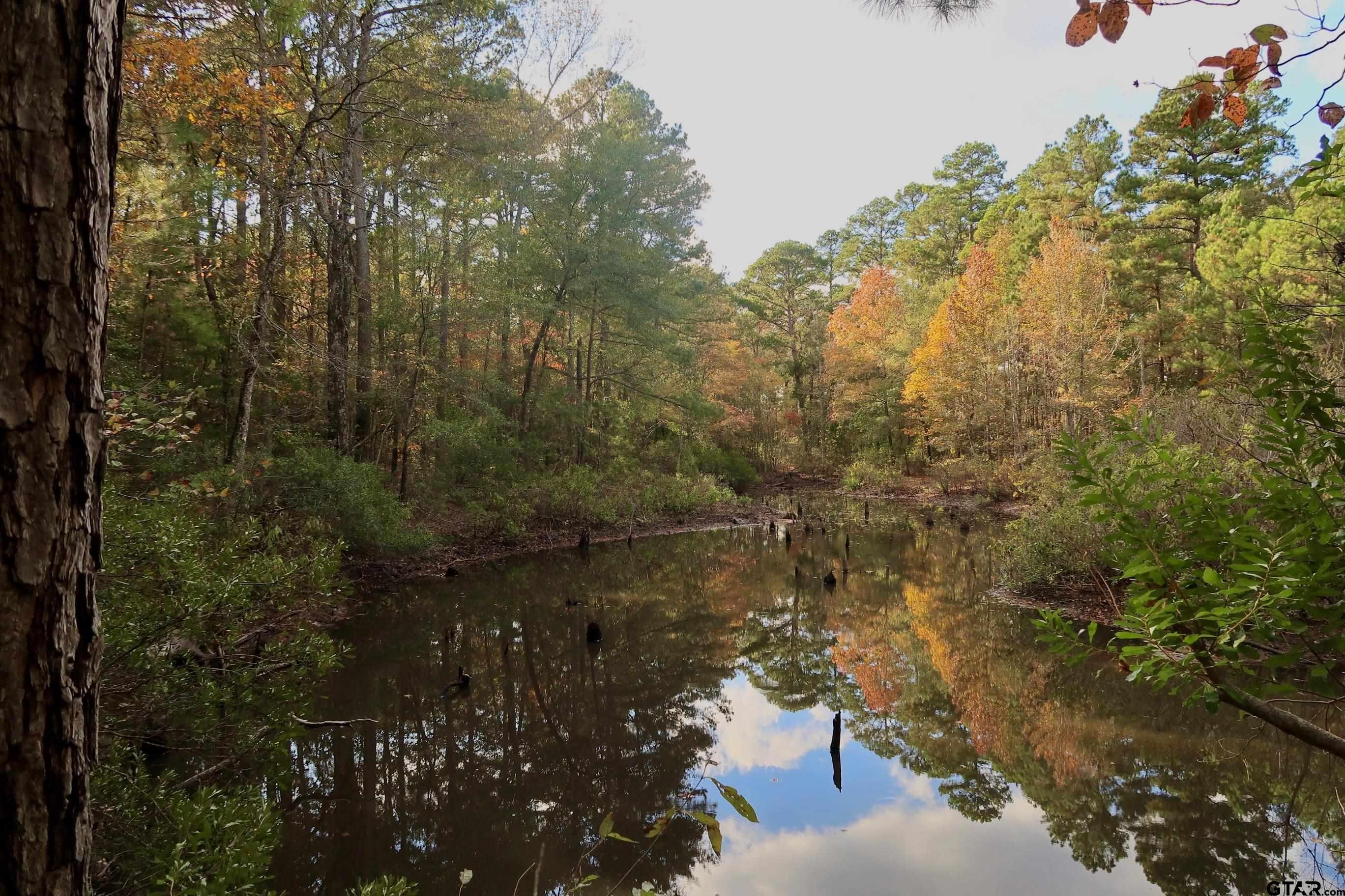 TBD County Road 3953