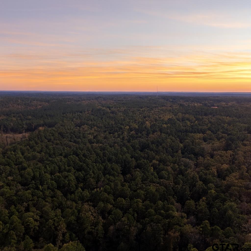 TBD County Road 3953