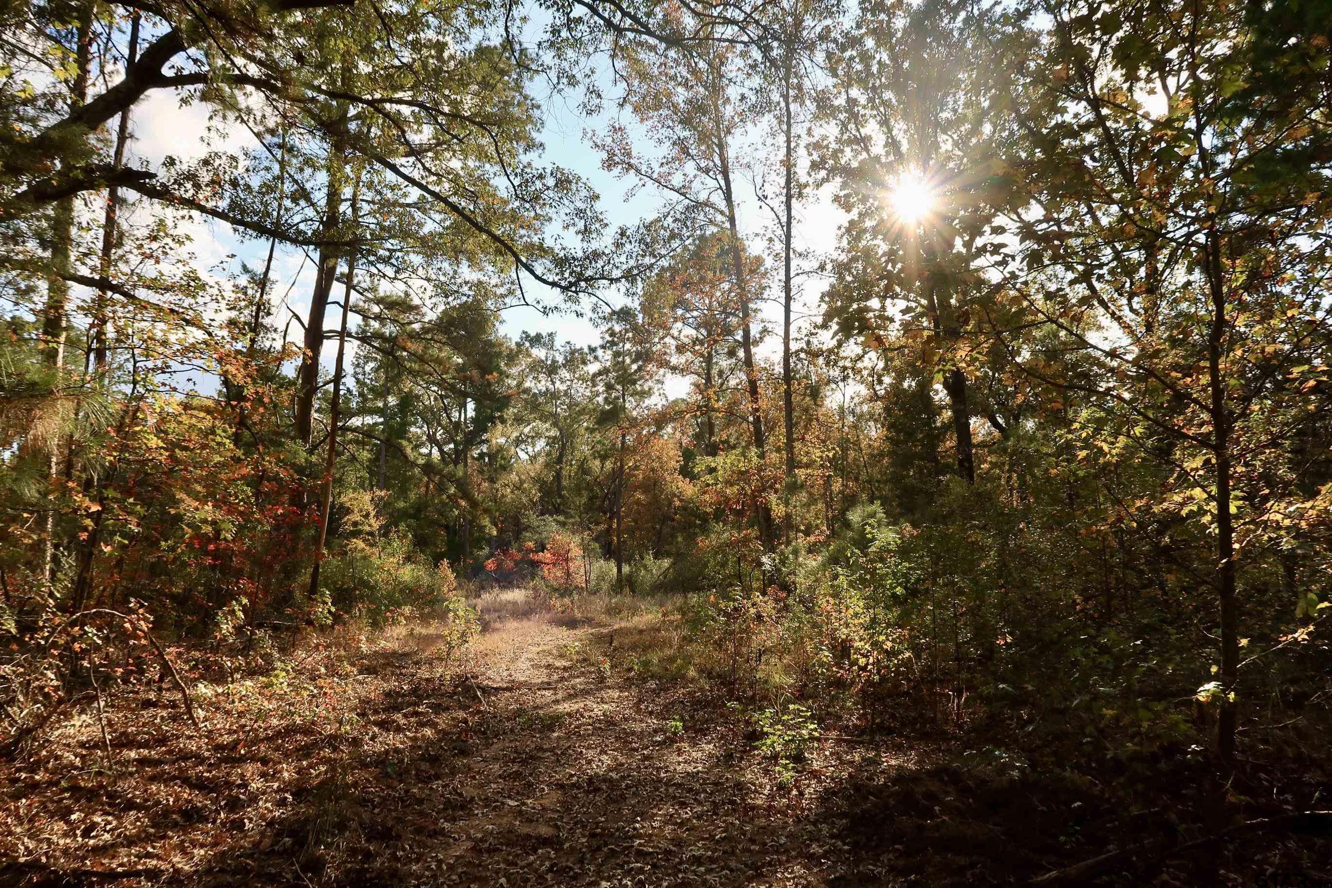 TBD County Road 3953