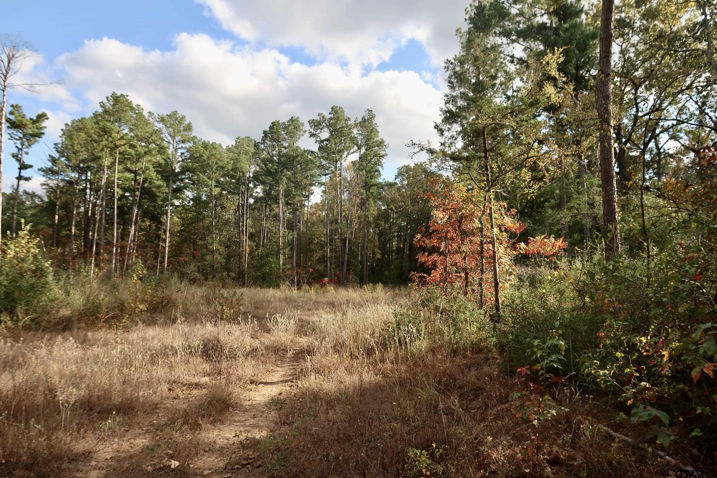 TBD County Road 3953