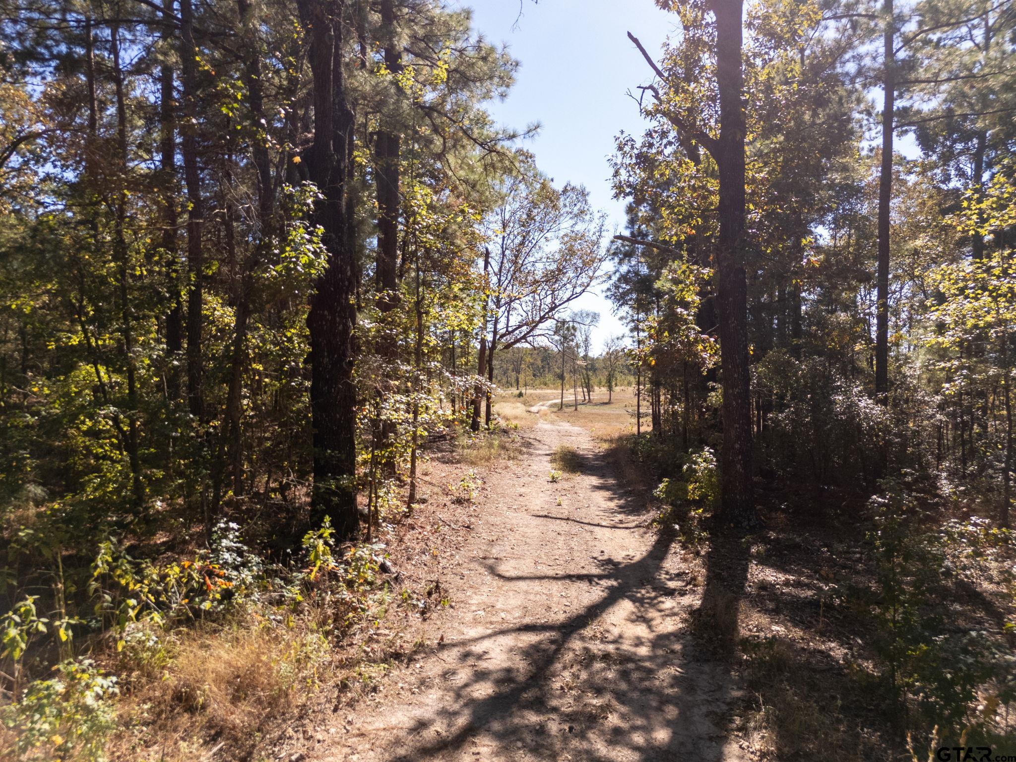 TBD County Road 3953