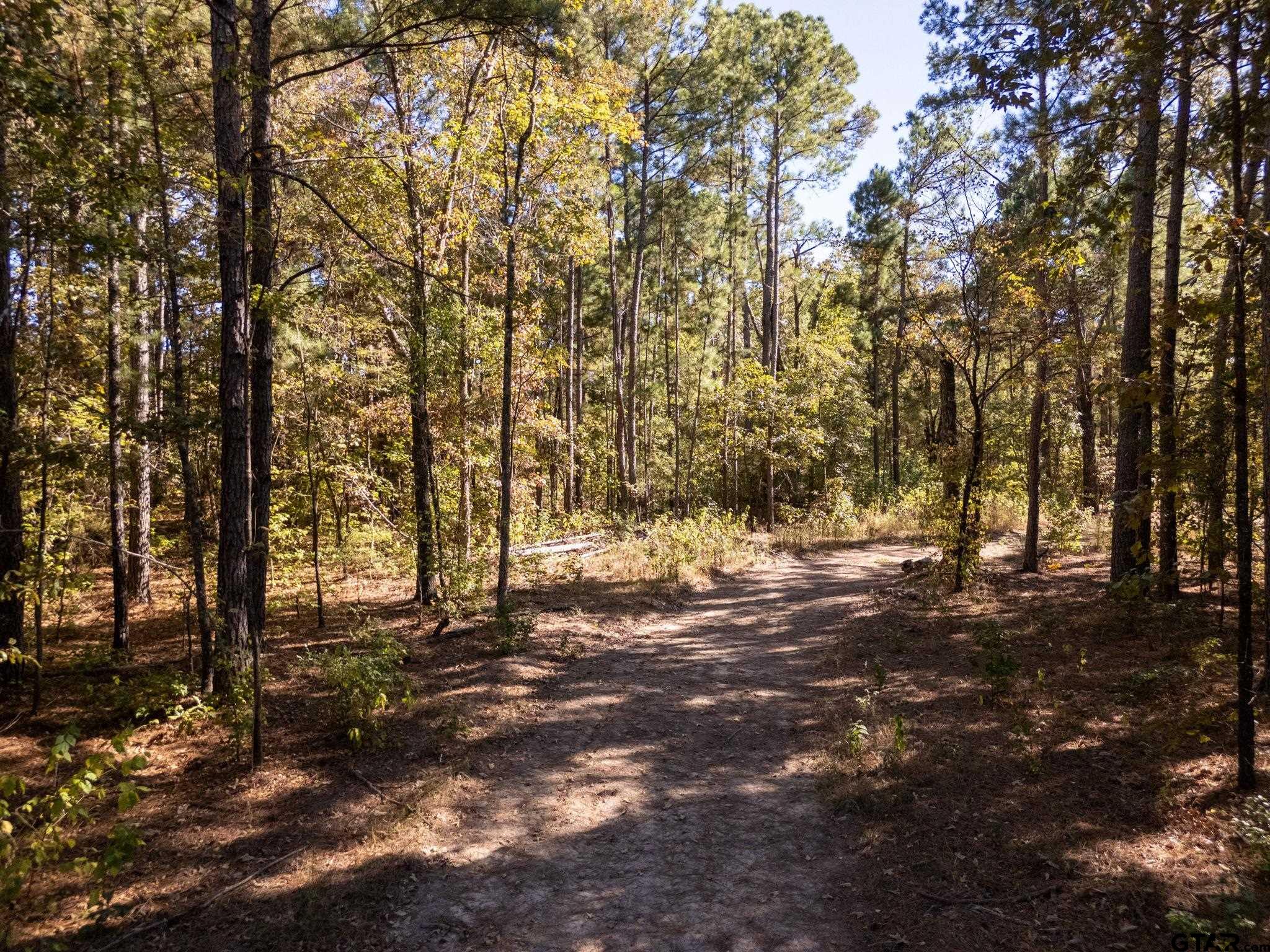 TBD County Road 3953