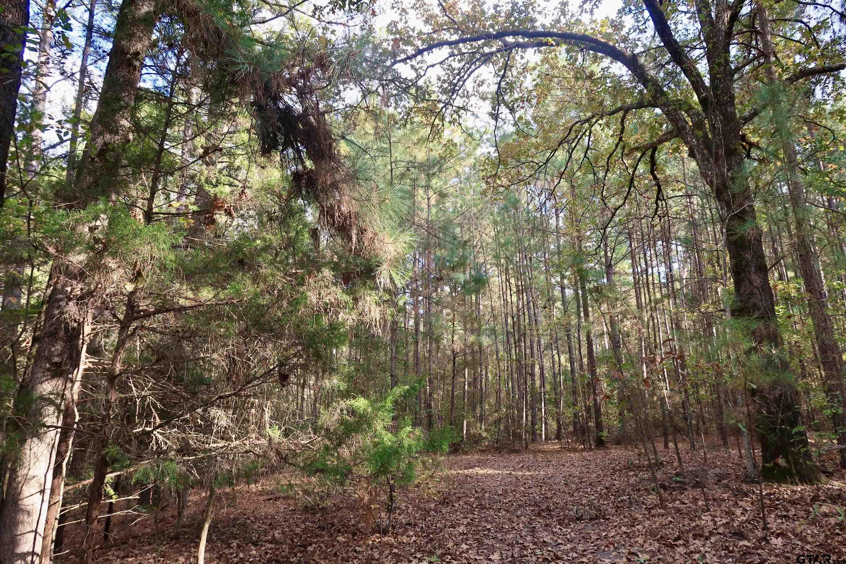 TBD County Road 3953