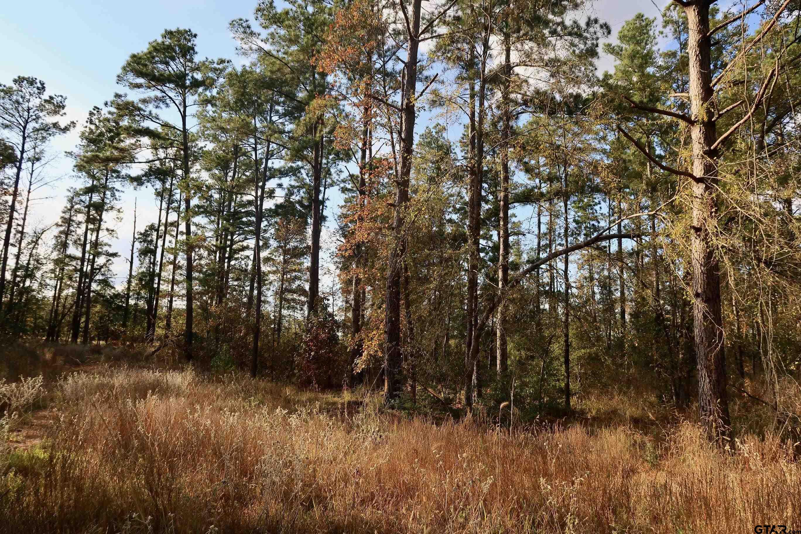 TBD County Road 3953